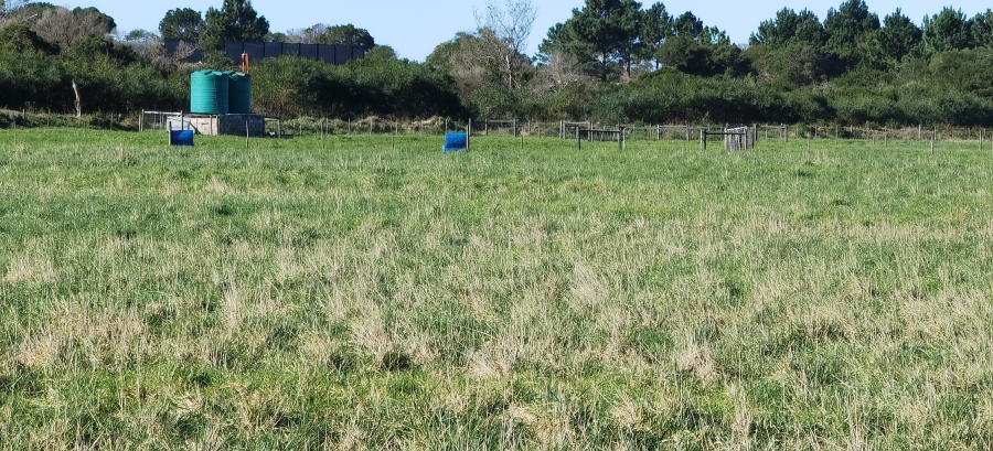 0 Bedroom Property for Sale in St Francis Bay Eastern Cape